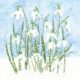 craftemotions-napkins-5pcs-snowdrops-in-snow-33x33cm-ambiente-13309610_24959_1_g