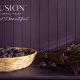Fusion_Mineral_Paint_Velvet_Plum_Entry_Way_Bench_240815_8108028-Edit__WebRes