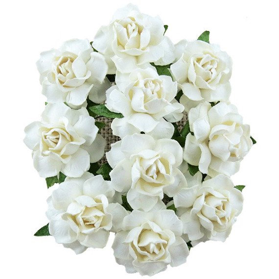 eng_pm_25-WHITE-PAPER-COTTAGE-ROSES-30MM-134971_2