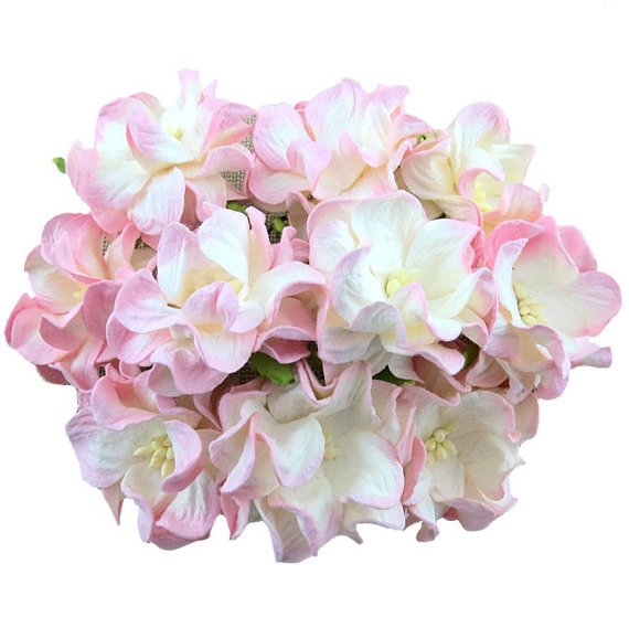 eng_pm_5-2-TONE-BABY-PINK-IVORY-GARDENIAS-6CM-135040_2