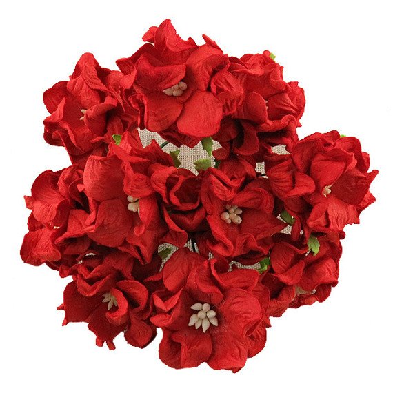 eng_pm_5-RED-GARDENIAS-6cm-134710_1