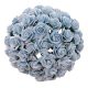 eng_pm_50-BABY-BLUE-MULBERRY-PAPER-OPEN-ROSES-15-MM-134851_3