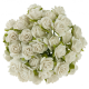 eng_pm_50-IVORY-MULBERRY-PAPER-OPEN-ROSES-20-MM-134795_2