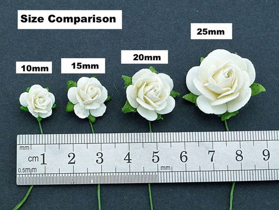 eng_pm_50-PEACH-PUFF-MULBERRY-PAPER-OPEN-ROSES-20MM-134768_2