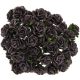 eng_pm_50-WALNUT-MULBERRY-PAPER-OPEN-ROSES-15MM-134760_2