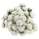 eng_pm_50-WHITE-MULBERRY-PAPER-OPEN-ROSES-20-MM-134780_3