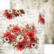 CC-C74-HOS-07_04