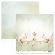 cps-tm30-6-paper-set-30-5x30_32649