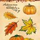 studio-light-stamp-a6-wonderful-autumn-nr-478-stampwa478-07-20-317158-nl-G