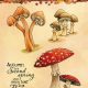 studio-light-stamp-a6-wonderful-autumn-nr-480-stampwa480-07-20-317160-nl-G